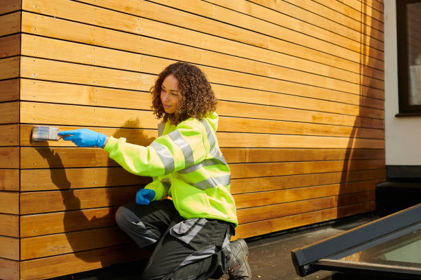 Best Siding Painting and Refinishing  in Marlinton, WV